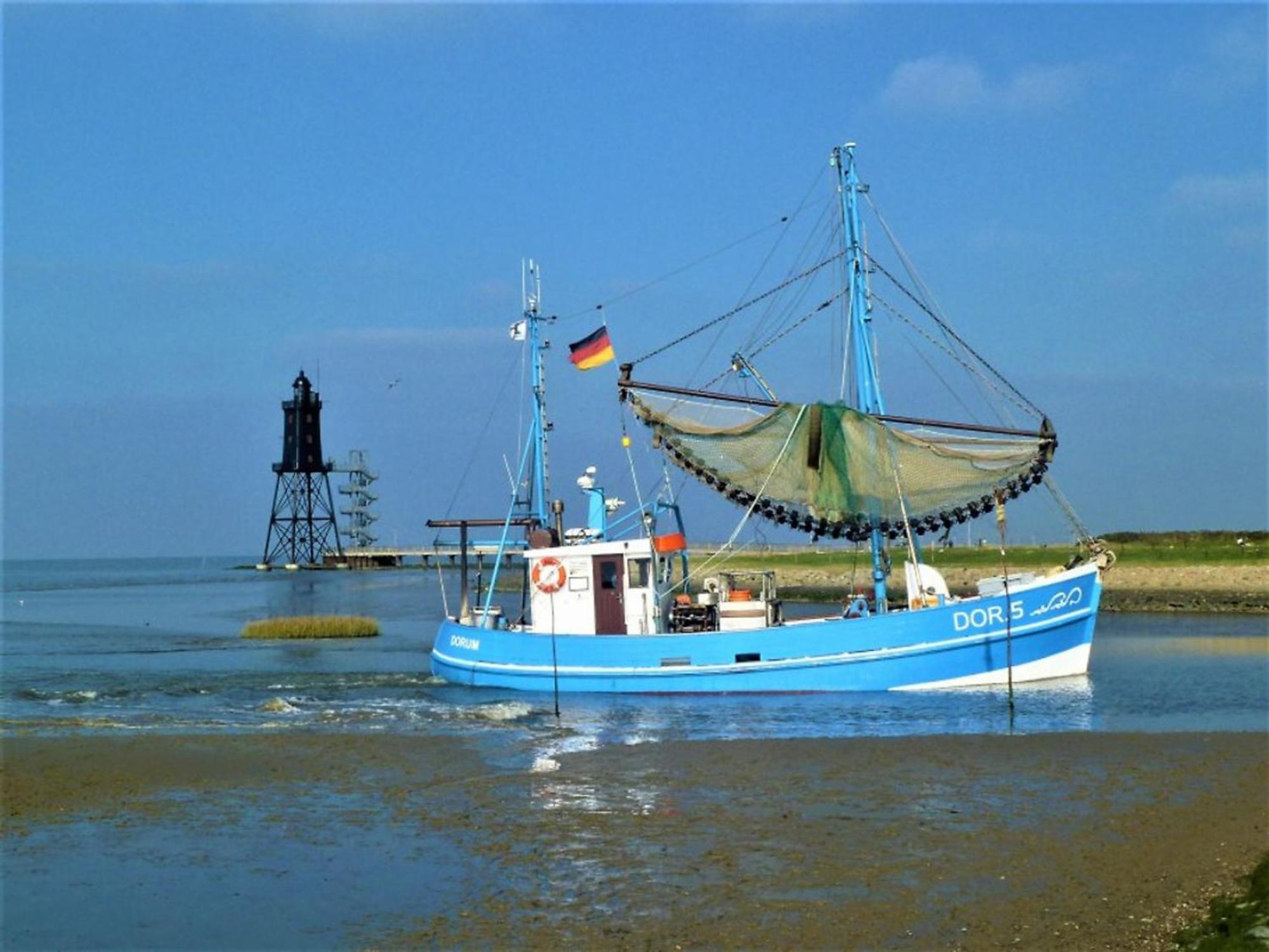 דורום נויפלד De Linn מראה חיצוני תמונה